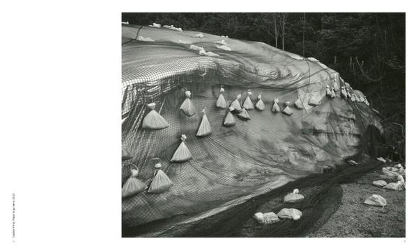 Toshio Shibata : Japan