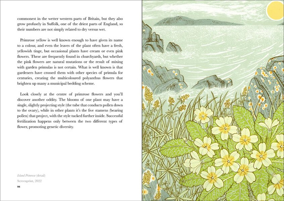 The Book of Wild Flowers : Reflections on Favourite Plants