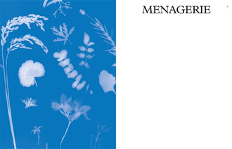 The New Naturalists : Inside the Homes of Creative Collectors