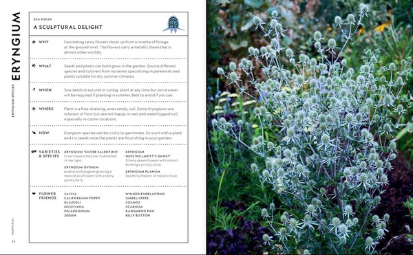 The Super Bloom Handbook