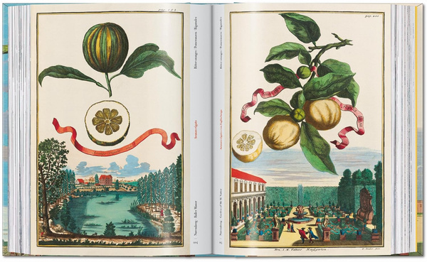 J. C. Volkamer. The Book of Citrus Fruits. 45th Ed.