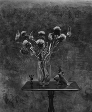 Life, Death and Everything in Between