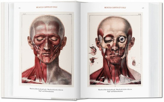 Jean Marc Bourgery. Atlas of Human Anatomy and Surgery
