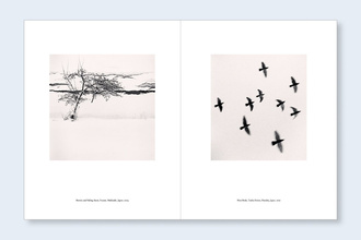 Japan | A Love Story 