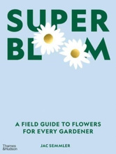 Super Bloom : A Field Guide to Flowers for Every Gardener