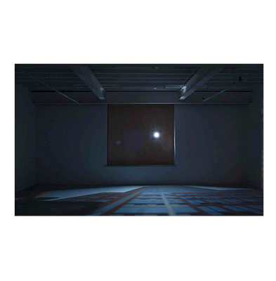 Zoe Leonard: Available Light