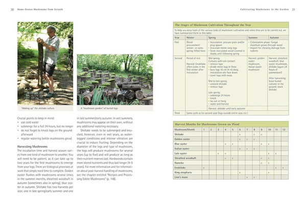 Home-Grown Mushrooms from Scratch