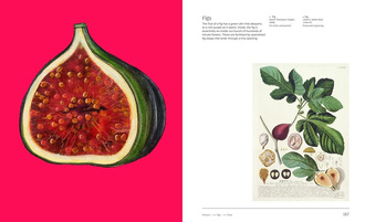 Trees : From Root to Leaf