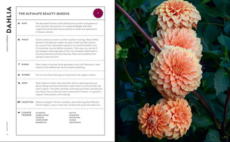 The Super Bloom Handbook 