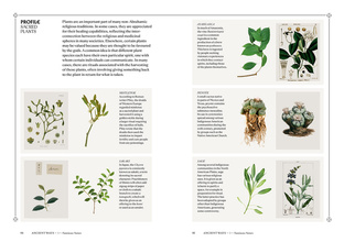 Pagans : The Visual Culture of Pagan Myths, Legends and Rituals