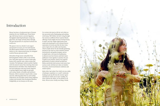 Honey : Recipes From a Beekeeper's Kitchen