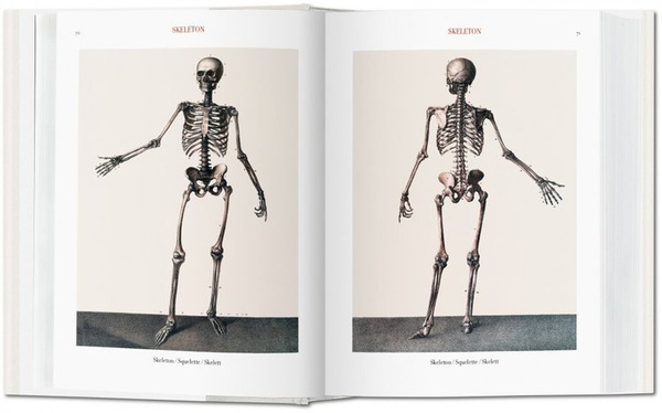 Jean Marc Bourgery. Atlas of Human Anatomy and Surgery