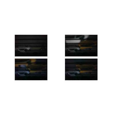 Zoe Leonard: Available Light