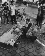 Life, Death and Everything in Between