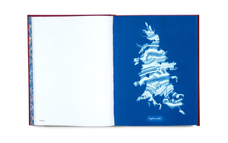 Cyanotype Imperfections