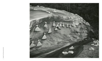 Toshio Shibata : Japan