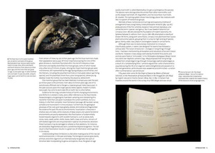 Evolution: the Whole Story