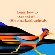 Animal Power : 100 Animals to Energize Your Life and Awaken Your Soul