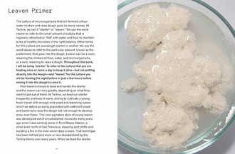 Bread Book : Ideas and Innovations from the Future of Grain, Flour, and Fermentation A Cookbook