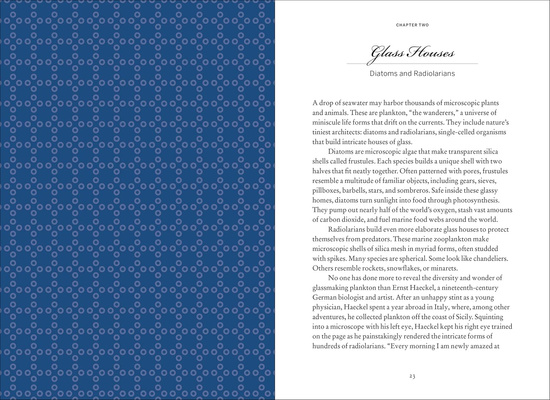 Wild Design : The Architecture of Nature