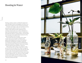 Root, Nurture, Grow: The Essential Guide to Propagating and Sharing Houseplants