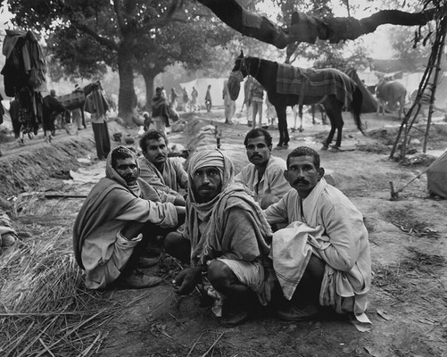 Life, Death and Everything in Between