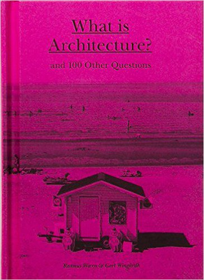 What is Architecture?: And 100 Other Questions