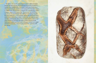 Bread Book : Ideas and Innovations from the Future of Grain, Flour, and Fermentation A Cookbook