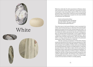 The Art of Colour : The History of Art in 39 Pigments