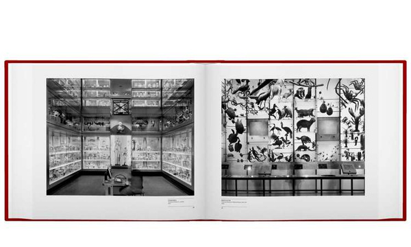 Matthew Pillsbury – City Stages