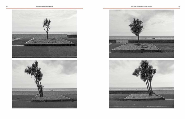 Seaside Photographed