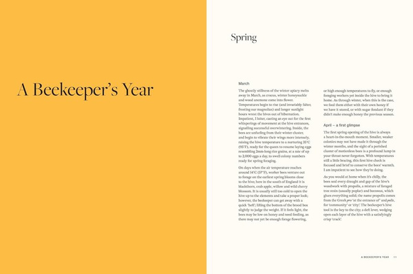 Honey : Recipes From a Beekeeper's Kitchen