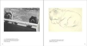 Georgia O'Keeffe, Photographer