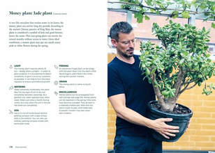 Green Home : The Joy of Living with Plants