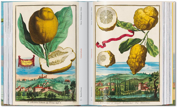 J. C. Volkamer. The Book of Citrus Fruits. 45th Ed.