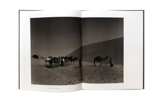 The Stillness of Life