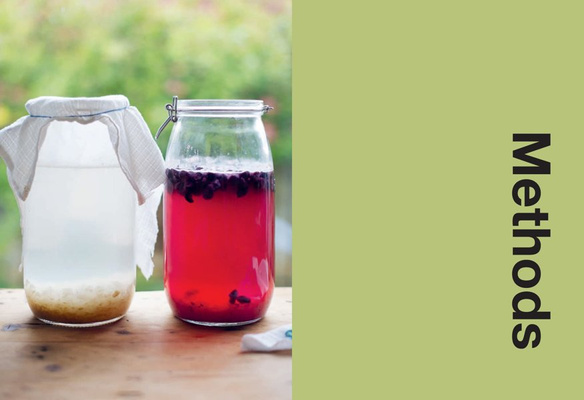 Ferment : Slow Down, Make Food to Last