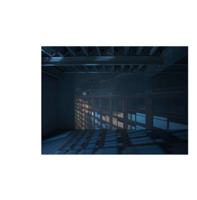 Zoe Leonard: Available Light