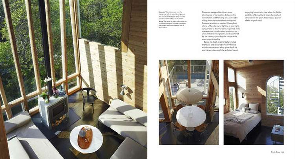 The Iconic American House