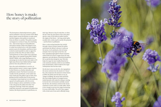 Honey : Recipes From a Beekeeper's Kitchen