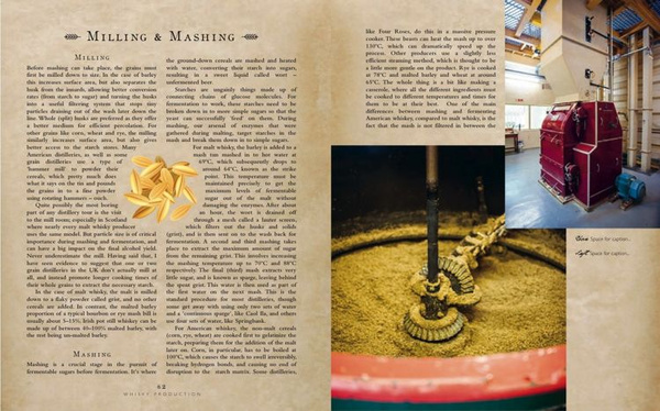 The Curious Bartender: An Odyssey of Malt, Bourbon & Rye Whiskies