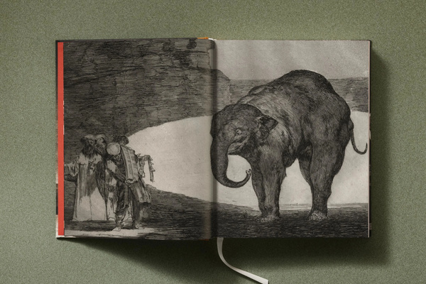 Goya. The Complete Prints