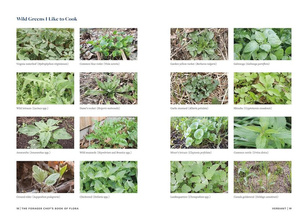 The Forager Chef's Book of Flora : Recipes and Techniques for Edible Plants from Garden, Field, and Forest