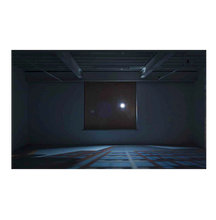 Zoe Leonard: Available Light