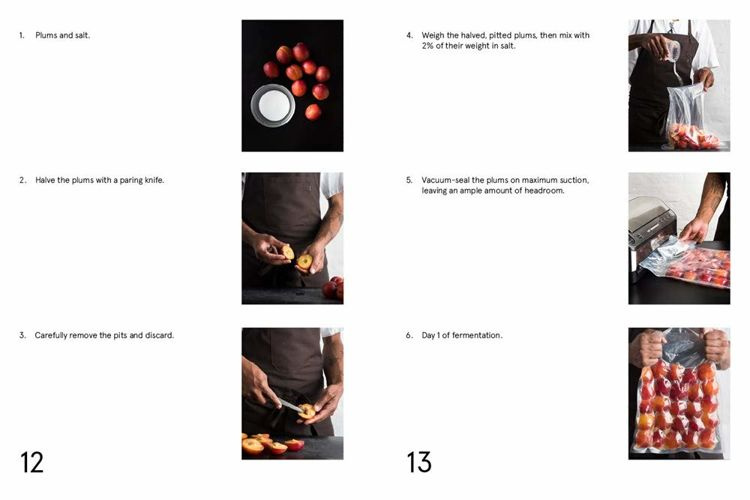 ボ*ボ様 The Noma Guide to Fermentation The Noma Guide to Fermentation: Including Koji, Kombuchas