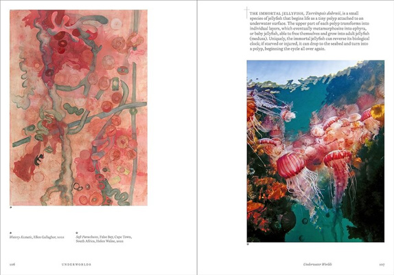 Underworlds : A compelling journey through subterranean realms, real and imagined