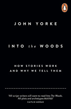 Into The Woods How Stories Work and Why We Tell Them