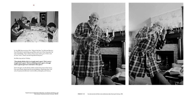 Mike Tyson : 1981-1991