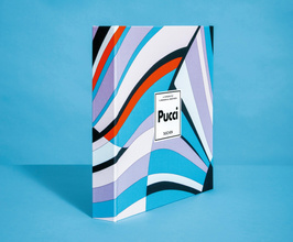 Pucci. Updated Edition