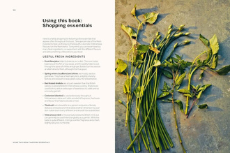 Vietnamese Made Easy